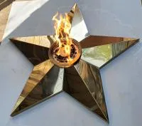 Звезда переносной модуль (513895) монтаж комплект горелка ГВД 379 10 89 00 ПС мобильная  в Туле