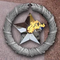 Венок вечный огонь чугун звезда нержавеющая сталь в Туле (518577)