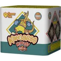 Батарея салютов Кенгуру ОС6035 купить от производителя Огненный Цветок — Тула